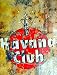 Produktbild Havana Club Metallschild