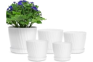Warmplus Plastic Plant Pots, 19/17.5/16.5/15/14cm Flower Pots Indoor with Drainage Hole and Tray, Indoor Modern Decorative Planter Pot for All House Plants, Flower, Succulents, Cactus, White