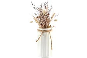 I3C Weiße Keramikvase, Keramik Vase für Pampasgras, Ideal zur Lagerung von Trockenblumen & Frische Blumen，Moderne Heimdekoration für Weihnachten, Blumenvase, Mattes Design für Zuhause und Büro (C)