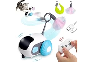 XINRONGDA Giocattolo per Gatti Elettrico Interattivo con Telecomando - Ricaricabile USB Intelligente, per Interno e Esterno (Blu)
