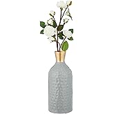 Amazon Brand - Solimo Flower Vase with Rust-Resistant Coating | Stylish and Easy-to-Clean Finish | Compact Design for Modern 