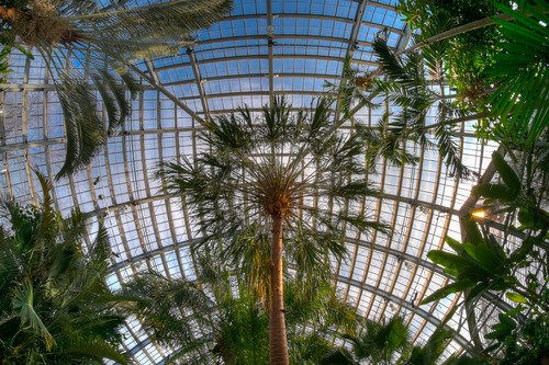 Vivitar 8 mm f / 3.5 IF MC Fisheye Lente para Canon - EOS 7D, 10D, 20D, 30D, 40D, 50D, 60D, 70D, 100D, 300D, 350D, 400D, 450D, 500D, 550D, 600D, 700D, 1000D, 1100D & 1200D Digital SLR Camaras + AADigital Bonus [IMPORTADO]