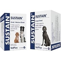 VetPlus Sustain Für Kleine & Mittlere Hunde – Probiotika Für Eine Gesunde Verdauung