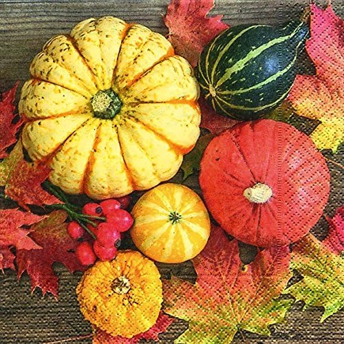 20 Paper Napkins 33 x 33 cm Pumpkin Halloween Autumn Garden Fruit/Vegetable