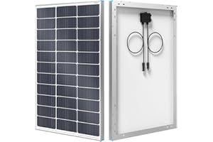 Renogy Módulo solar 16BB tipo N, 100 W, 12 V, 25 % de alta eficiencia, cargador de módulo fotovoltaico, panel solar para batería de RV Marine Rooftop Farm y otras aplicaciones fuera de la red, 500 Wh
