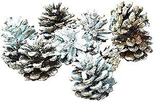 WINTER WOODS Lakeland Northern Lights Colour Fire Cones –Change Colour In Flames Suitable For Any Real-Flame Fire