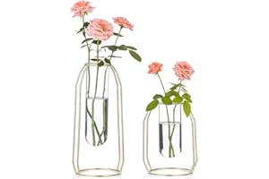 Nuptio Floreros de 2 Piezas con Marco de Hierro, Maceta Geométrica, Florero Central, Soporte de Exhibición de Mesa de Plantas para la Mesa de la Boda Decoración de la Sala de Oficina, Oro