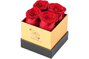 Ariceleo Rosa Preservada en Caja - Rosas Eternas para el Día de la Madre, Regalos de Cumpleaños para Mujeres, Mamá, Novia, Esposa, Abuela - Regalos Románticos para San Valentín, Aniversarios