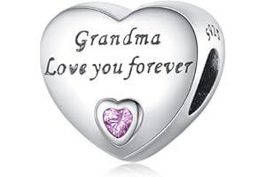 Amuefer Charms para Pulseras y Collares, Plata de Ley Corazón Hermana Esposa Amigo Papa Hija Nieta Abuela Mamá Tía Colgante Navidad Joyería Regalos para Mujeres Niñas