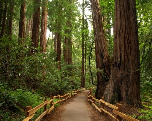 Natural Bath Crystals Woodland 250g with pine and cedarwood pure essential oils