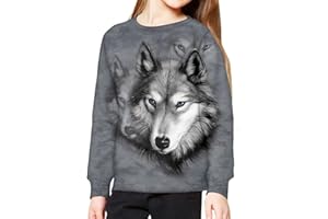 chaqlin Sudaderas con capucha para niños y niñas, jersey de manga larga para niños de 6 a 16 años