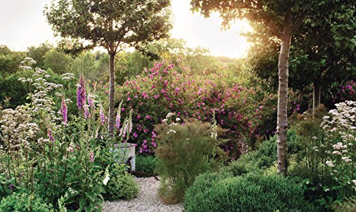 The Thoughtful Gardener: An Intelligent Approach to Garden Design