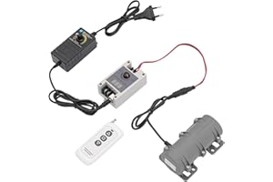 LUNICASHA Betonrüttler Vibrationsmotor, 12V Elektromotor Regelbar mit Drehzahlregler, 800RPM Vibration Motor, 8W Gleichstrommotor Mehrzweckmotor für Rütteltisch Vibrationsrinne Vibrationssieb