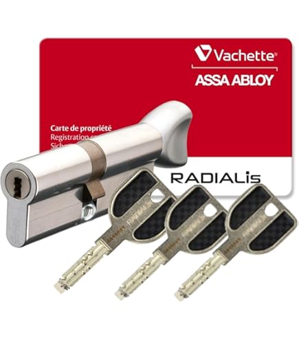 Cylindre De Serrure Profilé Abus EC550 Avec 5 Clés Et Carte