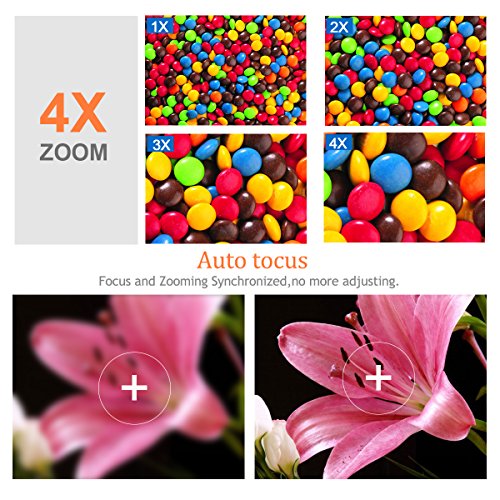 FLOUREON 1080P Dome IP Kamera Wlan Ãœberwachungskamera PTZ Netzwerkkamera, Outdoor IP Cam, ONVIF 4x ZOOM P2P, Nachtsicht Bewegungsalarm, unterstÃ¼tzt Micro SD Karte