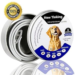 Accesorios y Complementos para Mascotas y Animales 14 ProHomer Collar Antiparasitario para Mascotas Perros, Plagas Repelentes para Mascotas, Tamaño Ajustable e Impermeable, Mata a Los Huevos de Insectos (63 cm)