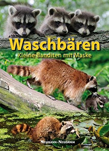 Buch - Download: Waschbären: Kleine Banditen mit Maske PDF