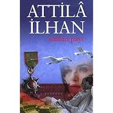 Sırtlan Payı