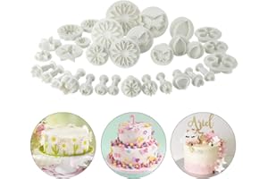 Soleebee 33pz Stampini per Biscotti Attrezzi Pasta per decorare la torta Fondente per dolci da forno Decorazione Attrezzi per glassare per zucchero artigianale per tuffatori Fiocco Set Cutter