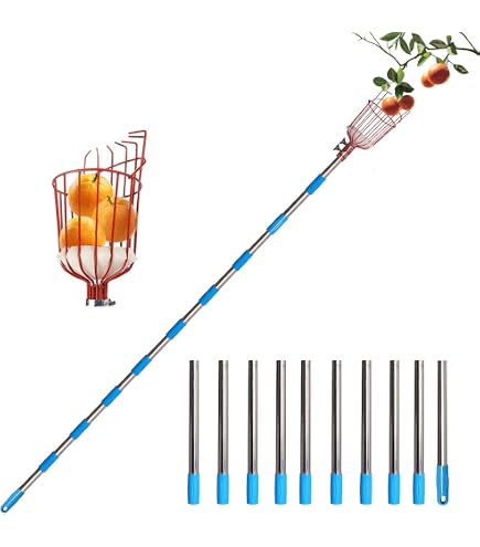 Cueille-fruit Télescopique Métal - Longueur Réglable 1.6 à 3.6m, Panier Avec Coussin, Pour Pommes, Poires, Arbres Hauts - 9
