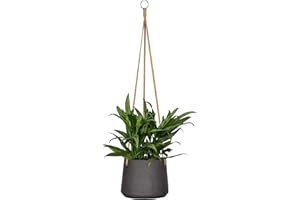 Finestgreen Hanging Planter Pot, Hanging Flower Pot for Planting, Urban Gardening Plant Basket