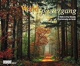 Image de Waldspaziergang 2017