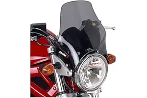 Puig 4112H Carenabris