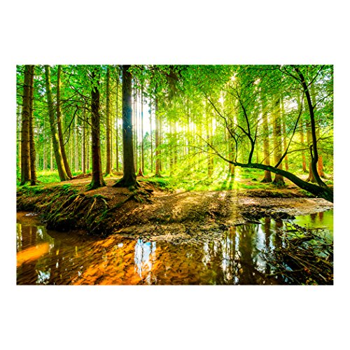 Fototapete Wald 3D 400×280 cm XXL | modern | Schlafzimmer | Tapete | Wandbilder | Phototapete | Premium Vliestapete | Wandtapete | FOB0236a84XL - 3