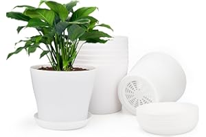 KINGLAKE 8Pcs 4" Small White Plant Pots Plastic Flower Pots Indoor Plant Pots for Office House Desk with Trays/Pallets