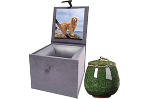 DOINFUN Mini Urns for Ashes, Handicrafted Ceramic Ashes Urns for Dog Cat Small Pets Ashes Keepsake Memorial Gift, Ashes Holder with Exquisite Box-Malachite Green