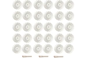 FPPO 26pcs 1 Inch Radial Bristle Disc Kit with 1/8" 3/2.35mm Shank for Dremel Rotary Tools,Detail Abrasive Wheel for Jewelry wood metal Polishing, Bristle Buffing Wheel (Grit 2500)