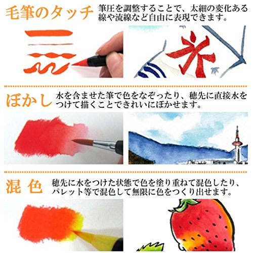 AKASHIYA Fude Pinselstift shin-mouhitsu Tinte (sa-300) 20 Color Set - 4
