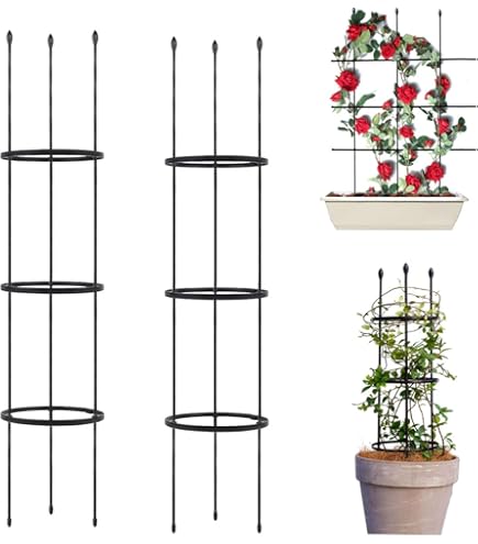 Trellis