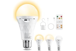 YLATOIAL E27 LED Glühbirne mit Batterie Fernbedienung, Dimmbar LED Akku Lampen (3000K/4000K/6500K), 2600mAh Outdoor Lampe, Timer Leuchtmittel Sockel&USB Rechargeable Dual-Purpose Für Tischlampe/Camping