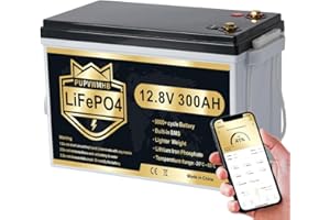 PUPVWMHB 12V 300Ah Bluetooth LiFePO4 Batterie, 200A BMS 12v Bluetooth Lithium Batterie, bis zu 15000 Zyklen, Max.3840Wh Energie mit Low Temp Cut off, perfekt für Wohnmobil, Solar, Trolling Motor
