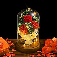 Shirylzee Rose im Glas Ewige Rose Glas Licht Künstliche Rose mit LED-Licht in Glaskuppel, Romantisch Dekoration Geschenk…