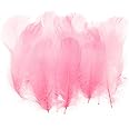 PATIKIL Colorful Feathers 3-5inch, 300pcs Goose Feathers Bulk for Crafts DIY, Wedding Home Party Decorations Dream Catcher, Pink