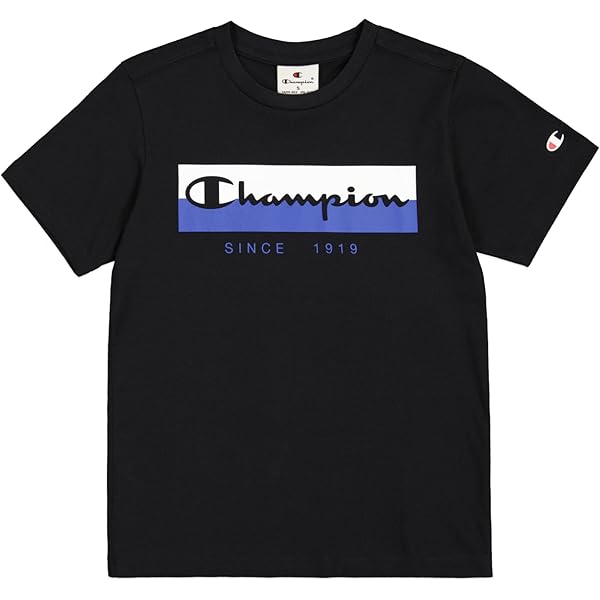 champion shirt price