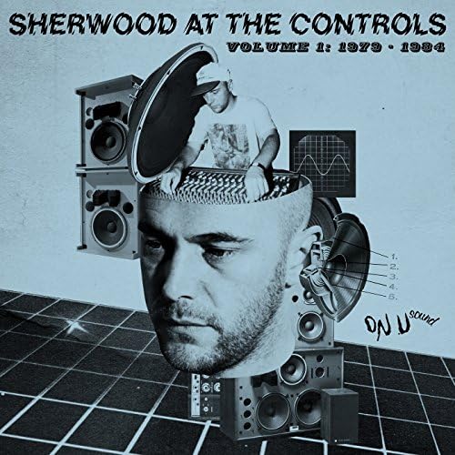 Sherwood At The Controls 1979-1984
