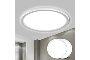 LQWELL® LED Ceiling Light, IP44 Waterproof Bathroom Lamp Round Flat 18W 6000K 1600LM Modern Simple Thin for Living Room Bedroom Kitchen Office, 220 * 24mm (White, 2PCS)