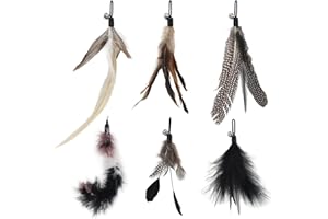 SONGWAY 6 Stück Katzenspielzeug Feder - Katzenangel Ersatzfedern Anhänger Federn mit Glocken, Katzen Federspielzeug, Spielzeug für Katze, Schwarz