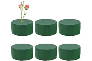 AIYING 6 Pezzi Spugna per Fiori, Mattoni di Schiuma per Composizioni Floreali, 8x4cm Blocco di Schiuma Floreale Rotondo, Spugna per Fiori Finti Rotonda Umida E Secca per Matrimonio, Compleanno