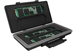 ICY BOX CAJA PROTECTORA ICYBOX PARA M.2 SSDS IB-AC620-M2