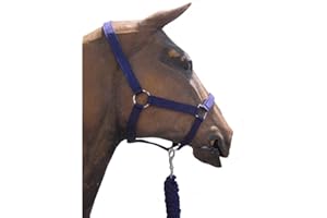 ROMA F.C. Roma Headcollar/Leadrope Set Navy Full