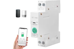 WiFi 1P+N smart strömbrytare, WLAN-relä för DIN-skena, Tuya/Smart Life app fjärrkontroll, Alexa/Google röststyrning, timer, g