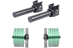 ‎SYL FITNESS SYL Fitness Olympische Hantelscheiben-Halter, Power-Rack, Befestigung Gewichte, Aufbewahrungsregal, passend für 2 x 2 und 7,6 x 7,6 cm Vierkantrohre