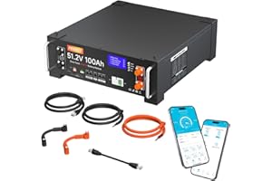 FEENCE Batteria solare LiFePO4 da 48 V, 100 Ah, supporta la comunicazione con inverter, BMS 100 A integrato con Bluetooth, potenza di uscita max. 5120 W, oltre 6000 cicli, ideale per sistemi fuori grid,
