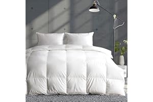 APSMILE 4 Stagioni Piumone in piuma (200 x 200 cm) -100% in Cotone Matrimoniale Piumone, Medio caldo e soffice piume d'oca e piumino d'oca per tutte le stagioni (Bianco, 200x200 cm)