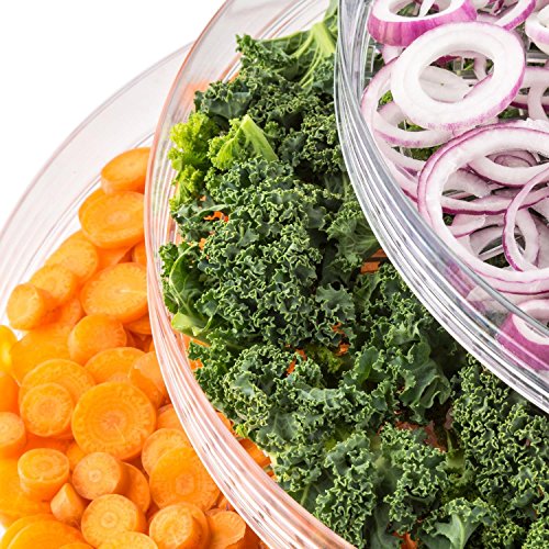 Klarstein Sunfruit Dörrautomat Dehydrator Früchtetrockner Dörrgerät Obsttrockner Dörrapparat (260W, 3 Etagen, Temperatur stufenlos regelbar) grün - 2