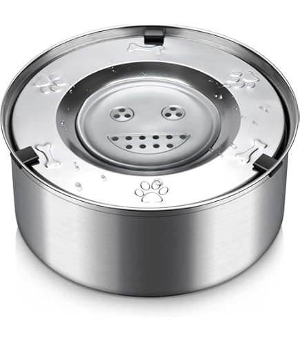 Dog Bowl Stainless Steel Dog Water Bowl No Spill, Small Dog Cat